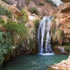What Is The Meaning Of The 153 Fish Disciples Torah Portions