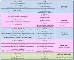Untuk angka selanjutnya sampai angka 19 sama seperti contoh di atas. Belajar Bahasa Arab Arabmykrk Com