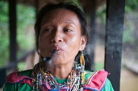 Ayahuasca Experience: A New Way to Find Purpose? NextTribe