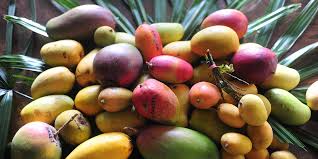 Most mango varieties can withstand only a few degrees below freezing without damage. What S The Difference Between Mango Varieties Myrecipes