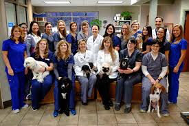 From the owners of the well pet clinic. Find Pet Care Information And Veterinarians