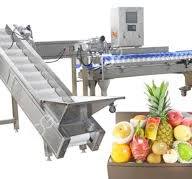 Automatic Weight Sorting Machine For Fruits And Vegetables