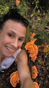 Tiny mushroom found in rotting wood in the woods