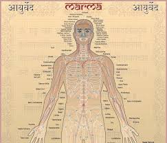 Marma Chart Ayurvedic Therapy Acupuncture Benefits Ayurveda