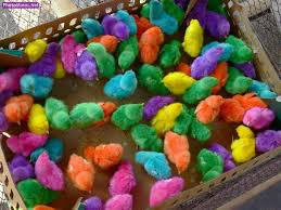 Coloured Katakeet Nostalgic Kids Identity