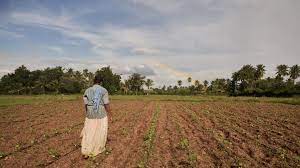 Usda, economic research service, farm income and wealth statistics data product, farm business average net cash income by commodity specialization and region. Regenerative Agriculture Could Change The Fashion Industry And The World But What Is It Vogue