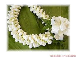 Traditional Hawaiian Wedding Flower Hawaiian Pikake Lei Hawaiian Wedding Flowers Hawaiian Lei Hawaiian Wedding