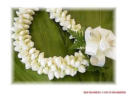 We also have a wide selection of hawaiian flower assortments. Traditional Hawaiian Wedding Flower Hawaiian Pikake Lei Hawaiian Lei Hawaiian Wedding Flowers Hawaiian Flowers