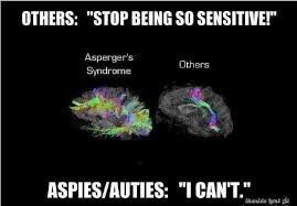 Pin By Kim Gates On Awesome Autism Aspergers Syndrome Aspergers Autism Aspergers