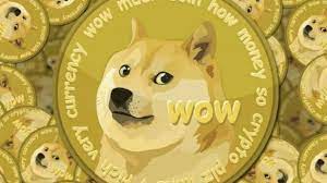 Shiba inu umrechner und kalkulator zu chf. Die Angst Vor Dem Grossem Dogecoin Crash Steigt