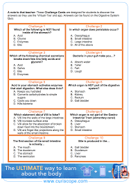 Teach Kids All About The Digestive System With Our Handy Pop Quiz Check Out All The Answers On The Curisc Biology For Kids Education Digestive System For Kids