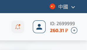 借助AI，半年躺赚10W 的经历· w2solo - 独立开发者社区