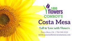 Maybe you would like to learn more about one of these? Conroy S Flowers Costa Mesa Home Facebook