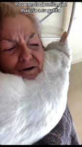 AMO a los GATOS 😽🐾 PARAGUAY 🇵🇾