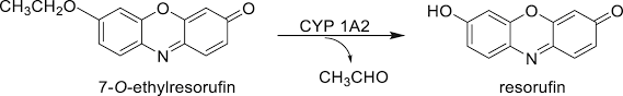 For example, sugar and salt are more soluble in water at higher. Glossary And Tutorial Of Xenobiotic Metabolism Terms Used During Small Molecule Drug Discovery And Development Iupac Technical Report