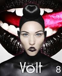 High Voltage Cover Art by Shot by Rankin for Volt Magazine
