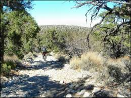 Cactus adventures takes pride in our fleet of rental bikes. Big Bear Lake California Motorcycle And Atv Trails