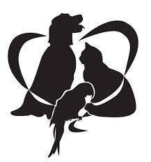 Maybe you would like to learn more about one of these? New Beginnings For Merced County Animals Home Facebook