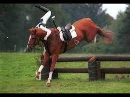 Discover more posts about equestrian, show jumping, horses, dressage, equine, horseblr, and eventing. Horse Fails And Falls Youtube