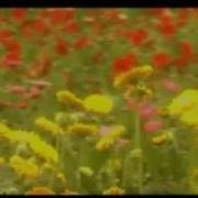 Che Vor Es Qez Berum Ei Tarm Caxikner Mp3 Azat Abrahamyan Caxikner Skachat Mp3 Besplatno