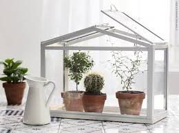 4 Ikea S Mini Greenhouse Jpg 800 599 Ikea Plants Indoor Greenhouse Mini Greenhouse