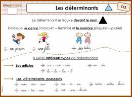 السنة الأولى إبتدائي تعلم اللغة الفرنسية بالصور ملخصات القواعد Dzexams