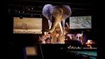 Video Naturalis Biodiversity Center, The European Museum of the ... - YouTube