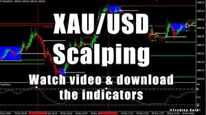 Xau Usd Scalping System Forex Trading Gold Winning Strategy Trend 2021 In 2021 Forex Trading Forex Trading