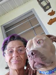 Can someone edit these photos of my dog for fun memories?