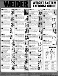 weider home gym exercise chart pdf mobile discoveries