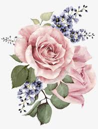 Thumbnail Transparent Background Watercolor Flowers Png Transparent Png 400x507 Free Download On Nicepng Get the best quality watercolor backgrounds from our handpicked collection. transparent background watercolor