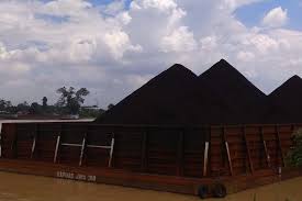 Muara sungai yang masih asri ini ternyata banyak dihuni predator ganas ( casting di muara sungai ) oke temen temen , kali ini. Coal Stockpiles Threaten Public Health Ancient Temple In Indonesian Village