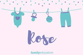 One of the famous actresses with the last name adams, she rose to fame following her breakthrough role in the 2005 film junebug. Rose Name Meaning Origin Popularity Inspiration Familyeducation