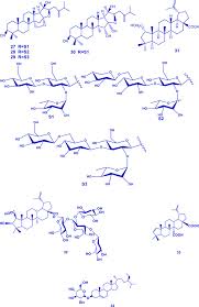Image result for Gouania tiliifolia