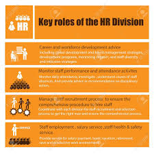 Infographic Of Human Resource Function Role And Responsibility Human Resources Human Resources Career Human Resource Management