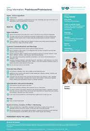 Prednisone Prednisolone Drug Information For Dogs And Cats Healthcare For Pets Pet Medications Cat Health Care Dog Cat