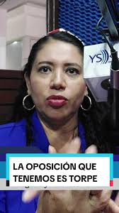 El Salvador necesita una oposición nueva, una oposición pensante, no estos  personajes que pasan diciendo "NO" a todas las propuestas sin importarles  si son de mejora al país y de ayuda a los ...
