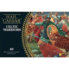 Celtic sites have an abundance of grooming tools, such as combs and hair pins. Celtic Warriors 40 22 26