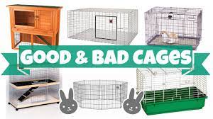 Daddy rabbits should never be in the cage with babies. Good Vs Bad Rabbit Cages Youtube