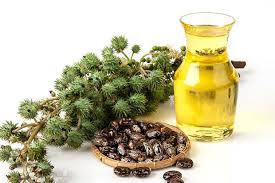 Si le ministre de la santé dit observer une décroissance de l'épidémie, il remarque que. Huile De Ricin Pour Barbe Legende Ou Realite Ou Vous Dit Tout Sur La Question