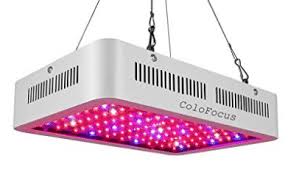 Top 12 Best 1000 Watt Led Grow Lights In 2020 Reviews Buyer S Guide Led Grow Lights Grow Lights Grow Lights For Plants