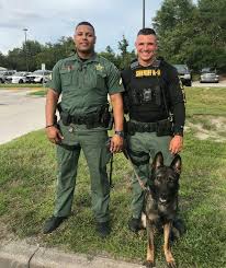 Pin By Kristin Becker On Live Pd Allstars Military Dogs Police Dogs Military Working Dogs