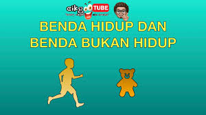 Mengenal pasti benda hidup dan benda bukan hidup. Sains Tahun 1 Benda Hidup Dan Benda Bukan Hidup Cikgootube Cikguzoul Youtube