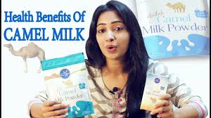Life style camel milk products. à¤Š à¤Ÿà¤¨ à¤• à¤¦ à¤§ à¤• à¤šà¤®à¤¤ à¤• à¤° à¤« à¤¯à¤¦ Amazing Health Benefits Of Camel Milk Youtube
