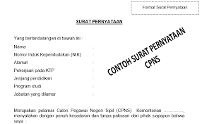 Untuk lebih jelasnya sebaiknya perhatikan contoh dari surat pernyataan dari beberapa fungsi. Contoh Format Surat Pernyataan Seleksi Penerimaan Cpns 2019 Ilmu Komputer Dan Pendidikan