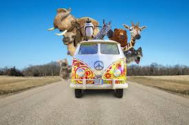 Your funny stock images are ready. 2 151 367 Funny Photos Free Royalty Free Stock Photos From Dreamstime