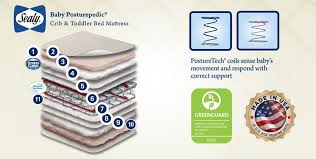 Crib Mattress Basics Sealy Baby