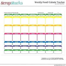 Hand Picked Daily Food Log Chart Example Of Food Intake Log