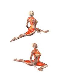 Urdhva Mukha Kapotasana Pigeon Pose On Left Foot Head Up Yoga Com Sports Outdoors Sports Fitness Yoga Equipm Yoga Anatomy Yoga Muscles Yoga Fitness