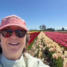 Local appliance store recommendations for small fridge